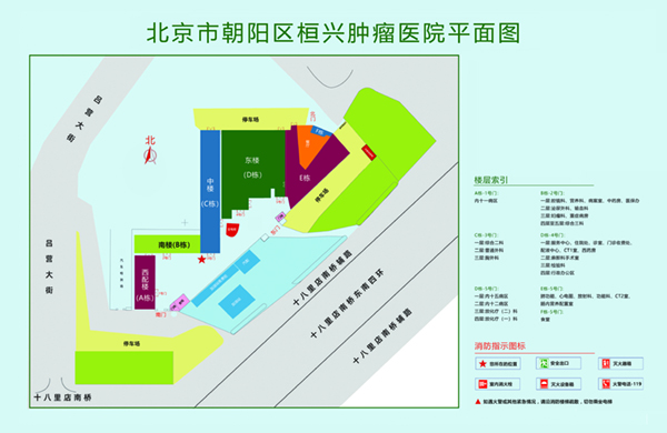 老太太操逼免费视频北京市朝阳区桓兴肿瘤医院平面图